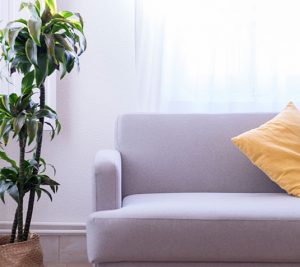 psicologia mindfulness tabarca