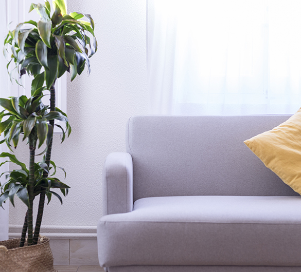 Tratamiento mindfullness Castellón Valencia Tratamiento mindfullness Castellón Valencia